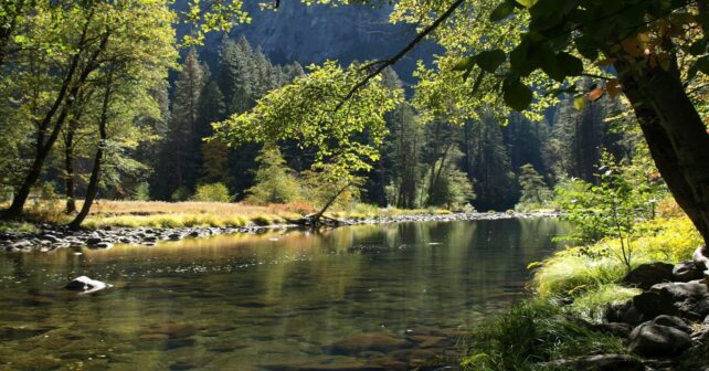 Congreso Restauración Fluvial 2026 en el entorno del río Duero