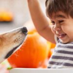 Les chercheurs d'ELTE ont montré que les chiens peuvent apprendre de nouveaux mots à partir des conversations de leurs propriétaires