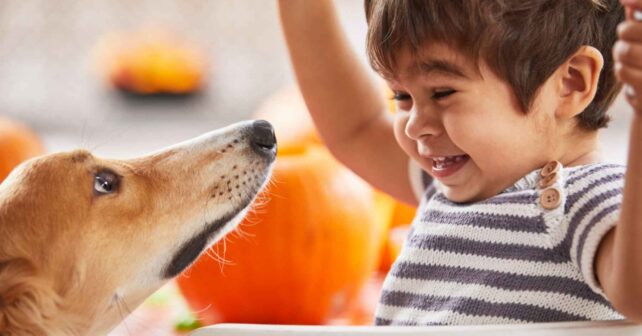 Niño sonriente frente a un perro en casa, una escena que ilustra cómo los canes pueden aprender palabras al escuchar conversaciones
