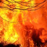 Les incendies en Patagonie argentine détruisent plus de 45 000 hectares sans contrôle
