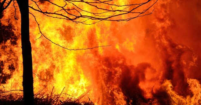 Incendios en la Patagonia argentina devastan bosques, viviendas y zonas protegidas