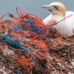 Les microplastiques terrestres sont déjà la principale source de pollution plastique sur la planète