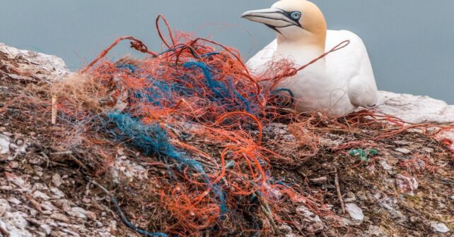 Microplásticos terrestres flotando en la atmósfera sobre superficie continental
