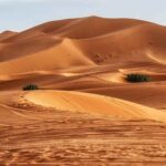 Les scientifiques préviennent qu’un nouvel océan se formera au cœur de l’Afrique, et ce, bien plus tôt que prévu.