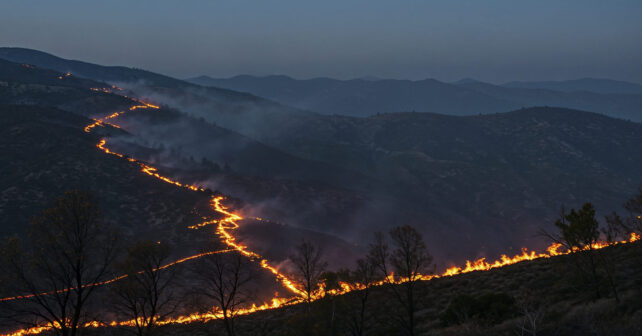 Proyectos universitarios para prevenir incendios forestales en España
