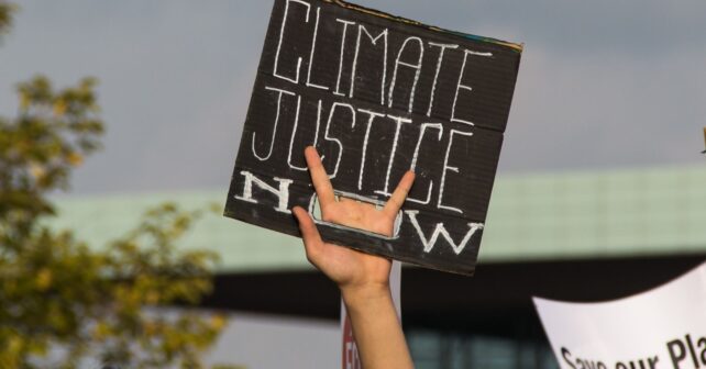 Representantes de ONG ecologistas durante una movilización ambiental en 2025