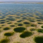 Pendant des millénaires, il s'est abreuvé au Nil et a donné vie à l'oasis du Fayoum. Aujourd'hui, le lac Qarun devient salé comme la mer et personne ne l'a vu venir ainsi.
