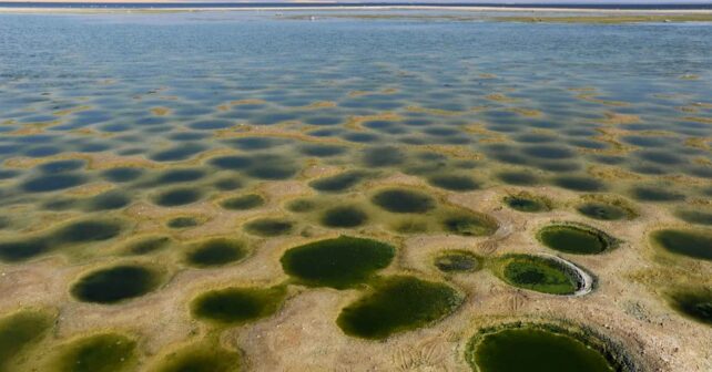 Lago Qarun en Egipto con agua salina y formaciones verdes en su superficie debido a la evaporación y la contaminación