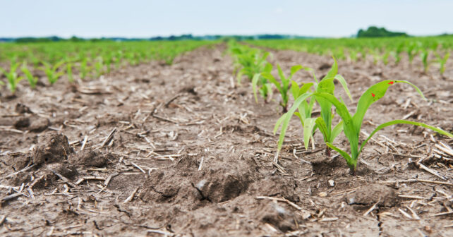 Impacto de la sequía en la productividad de los cultivos agrícolas