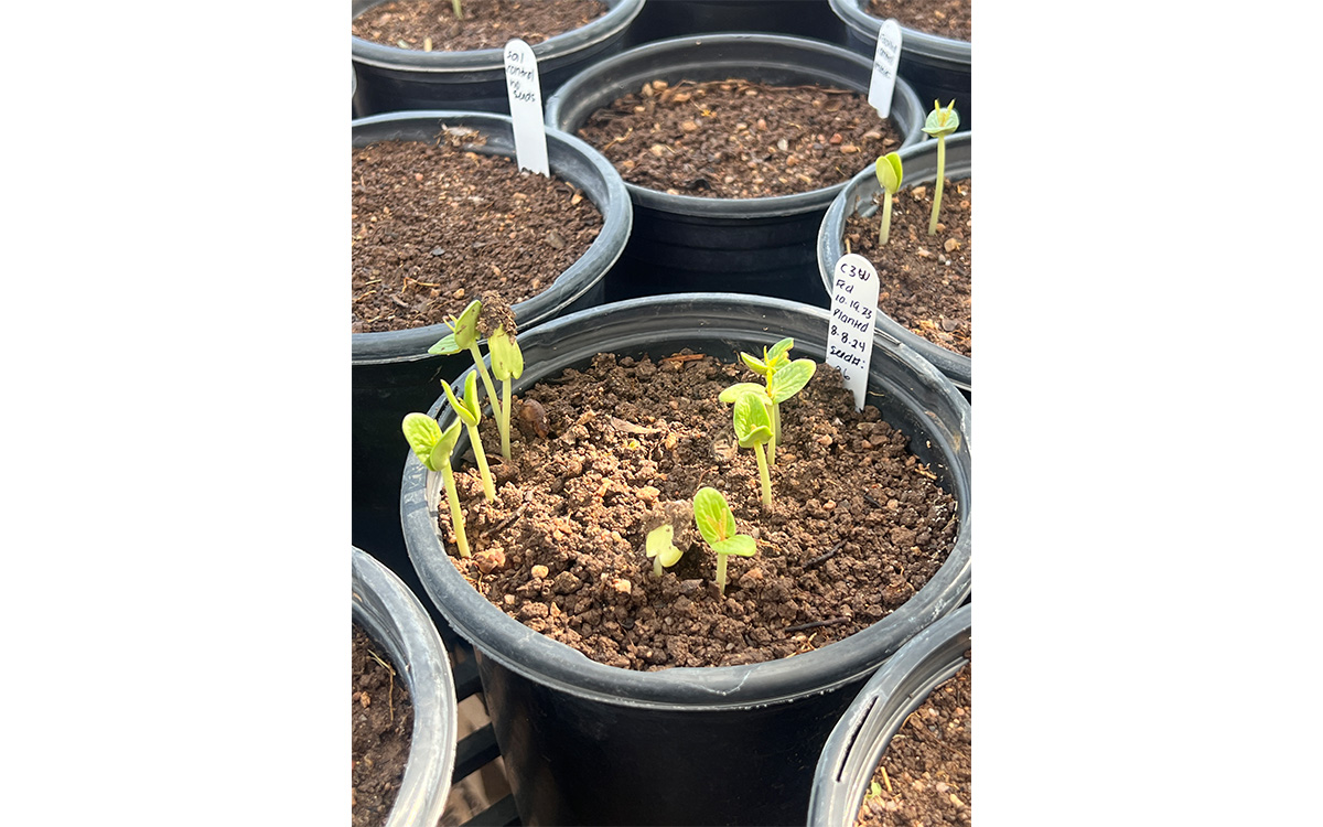 Photo de Mariana Acevedo García