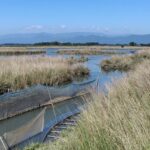 Alerte environnementale : les zones humides espagnoles se dégradent à grande vitesse