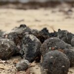 C'est officiel : des milliers de « boules sales » envahissent les plages de ce pays emblématique et activent un plan de 2 milliards pour éviter la catastrophe