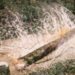 Cela ressemble à une catastrophe environnementale, mais c'est une étape scientifique : pourquoi des milliers d'arbres sains sont abattus dans cette rivière britannique