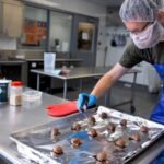 Cornell démontre auprès de 100 dégustateurs que l'ajout de 20 % de peau et de pulpe de pomme aux boulettes de viande n'altère pas la saveur et réduit les émissions