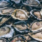 Démonstration en Irlande avec une analyse du cycle de vie total : une ferme ostréicole nettoie plus qu'une station d'épuration pour 10 000 personnes et le service environnemental vaut 2 millions par an que personne ne facture