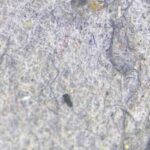 Des chercheurs australiens développent un filtre pour machine à laver qui retient les microplastiques de 20 micromètres, à l'image de la loi française qui impose depuis janvier 2025 de les intégrer dans toutes les nouvelles machines à laver.