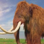 Des chercheurs espagnols découvrent que les mammouths et les dinosaures étaient plus lents qu'on ne le pensait