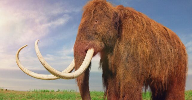 Mamut lanudo caminando en paisaje prehistórico según estudio que revela su velocidad real.