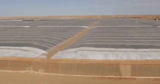 Invernaderos de cultivo intensivo en el desierto de Dakhla, Sáhara Occidental, para exportar hortalizas a la Unión Europea