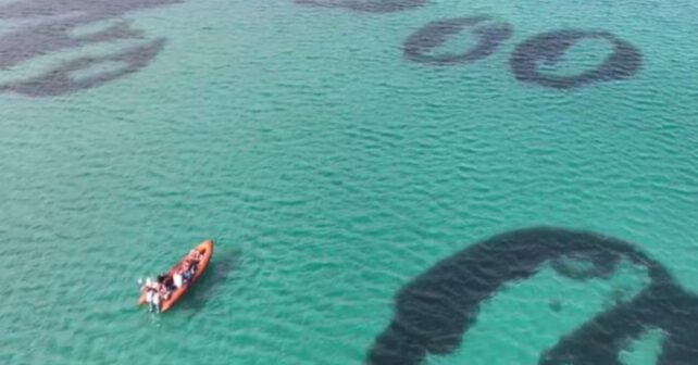 Anillos de pastos marinos Zostera marina en el Sound of Barra, Escocia, vistos desde el aire.