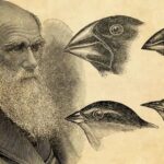 Journée mondiale de Darwin 2026 et la théorie de l'évolution face à la désinformation