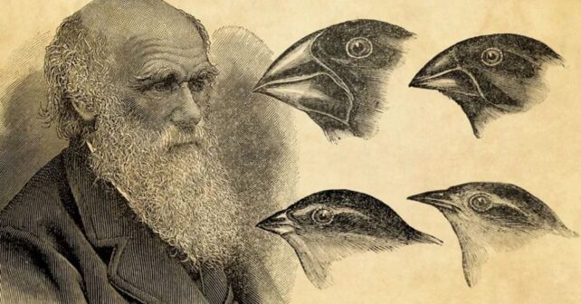 Ilustración de Charles Darwin junto a especies que inspiraron su teoría