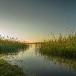 Journée mondiale des zones humides 2026