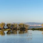 L'Albufera perd près de dix centimètres de profondeur à cause de l'accumulation de sédiments en 20 ans