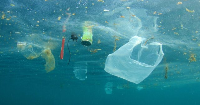 Plásticos y microplásticos flotando en el agua, asociados a floraciones de algas tóxicas según estudio de la Universidad de California.