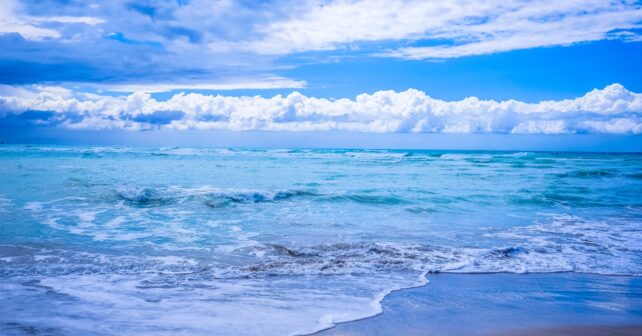 Bancarrota hídrica global según la ONU y crisis del agua que afectará a España.