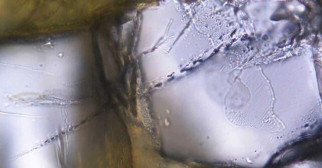 Inclusiones microscópicas de hidrógeno natural en olivino halladas bajo la meseta Qinghai-Xizang en China.