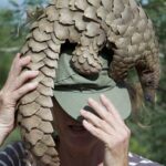 La Journée mondiale du pangolin 2026 met en garde contre un trafic illégal qui menace sa survie