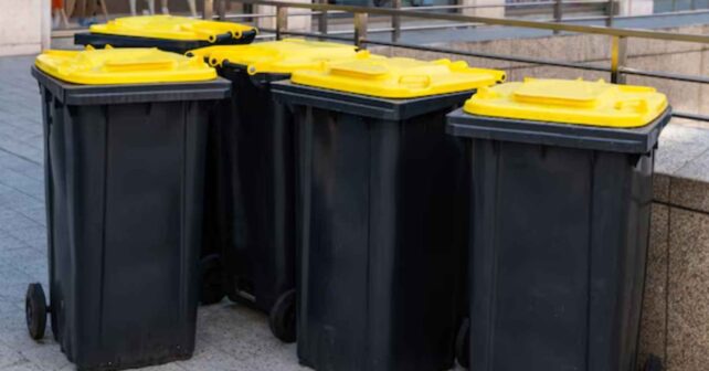 Contenedores amarillos de reciclaje alineados en una calle de Auckland.