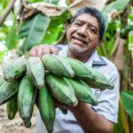 La production biologique en Espagne et dans le Mercosur nécessite des règles équitables pour rivaliser sur un pied d'égalité