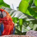 Le Costa Rica durcit les amendes en cas d'entrée illégale dans les parcs nationaux protégés