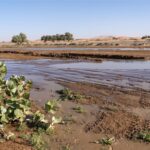 Les scientifiques nous demandent de préparer : la fin du poumon du monde et l’incroyable renaissance verte du désert du Sahara