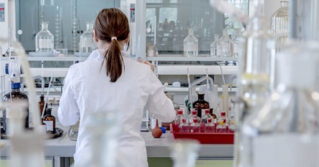 Test para evaluar la exposición a micro y nanoplásticos