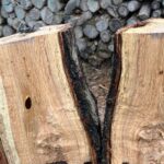 Un défenseur de l'environnement a trouvé quelque chose d'étrange en coupant du bois de chauffage