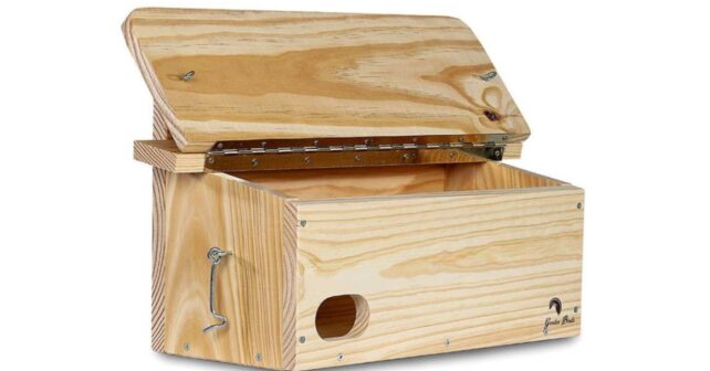 Caja nido de madera para vencejos abierta, ejemplo de nido artificial que puede sobrecalentarse al sol.