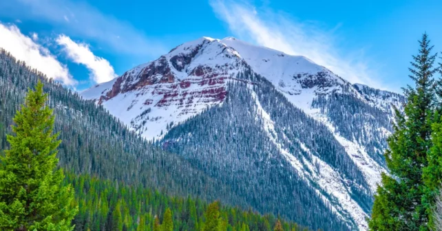 Evergreen encadrant un sommet de montagne à Silverton, Colorado