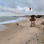 Des chercheurs créent un modèle mathématique qui régénère les plages après des tempêtes avec 60 % de sable en moins