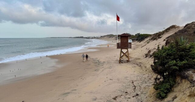Playa regenerada tras temporal donde investigadores analizan sedimentos de arena