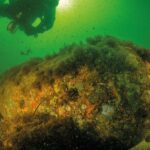 Des milliers de bombes chimiques de la Seconde Guerre mondiale sont sur le point d'exploser sous la mer