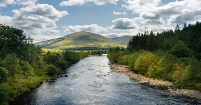 Río natural con bosque de ribera representando el Día Internacional de Acción por los Ríos 2026