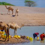 Journée mondiale de l’eau 2026 : accès à l’eau et inégalités