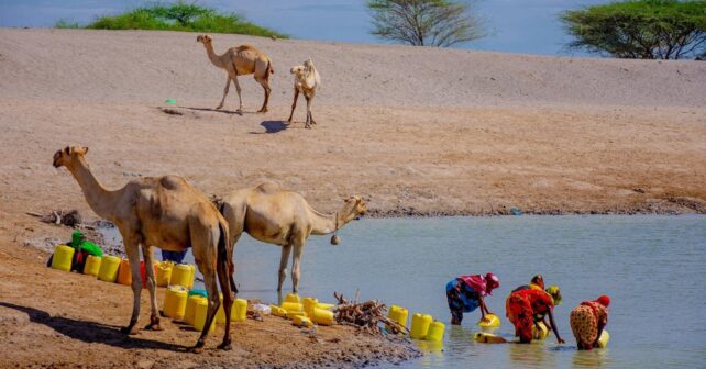 Día Mundial del Agua 2026 y acceso al agua potable