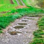 L'Espagne célèbre la Journée des sentiers de bétail avec 125 000 km clés pour la biodiversité