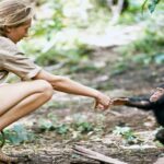 L'Institut Jane Goodall reçoit un prix extraordinaire de développement durable décerné par WAS