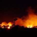 L'UE prévient que les incendies de forêt seront plus dévastateurs et modifie sa stratégie