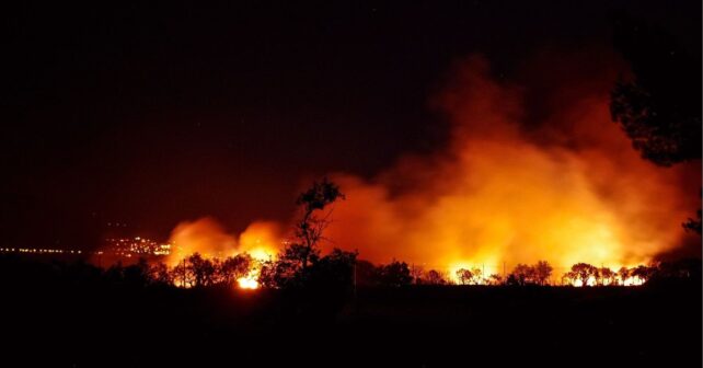 La UE advierte que los incendios forestales serán más devastadores en Europa